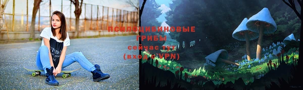 бошки Нефтегорск