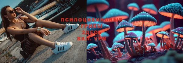 ПСИЛОЦИБИНОВЫЕ ГРИБЫ Нея