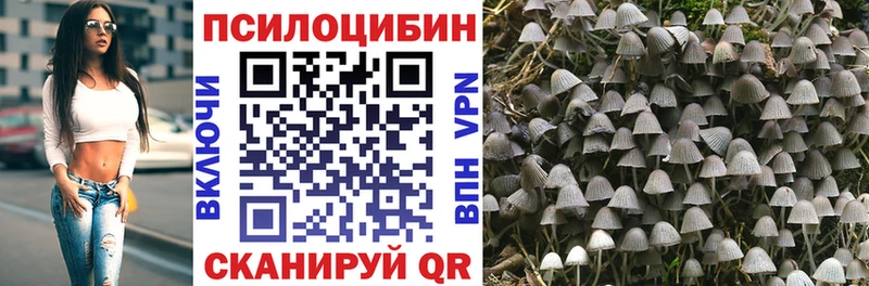 Галлюциногенные грибы Cubensis купить Керчь